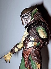 falconer-5.jpg