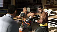 cottoshane-1.jpg