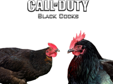 cod-black-cocks-copy.png