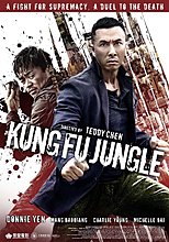 kung-fu-jungle-2014.jpg