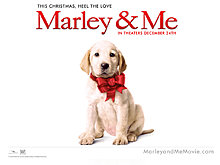 marley_and_me.jpg
