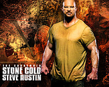 steve-austin.jpg