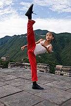 karate-kid-movie-picture-03.jpg