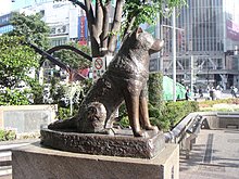 hachiko200505-4.jpg