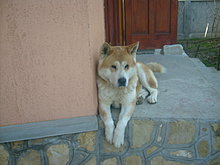 s6305858.jpg
