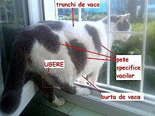 yq6w7n244930-02.jpg