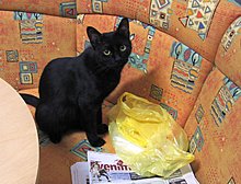 img_6363autocorect.jpg