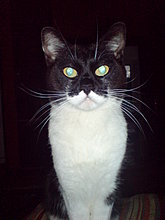 dsc00790.jpg