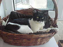 dsc01203.jpg