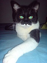 dsc01355.jpg