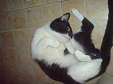 dsc01413.jpg