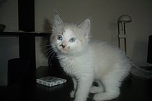 dsc00034.jpg