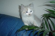dsc00038.jpg