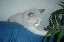 dsc00040.jpg