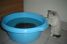 dsc00046.jpg