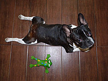 p1060654_resize.jpg