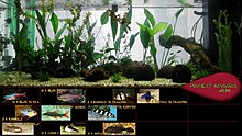 project_acvacris_v0.6b_small.jpg