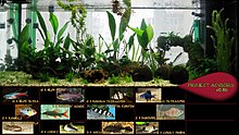 project_acvacris_v0.8b_small.jpg