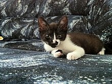 img0820bo.jpg