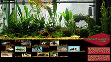 project_acvacris_v1.0b.jpg