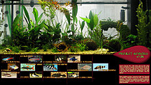 project_acvacris_v1.0b_small.jpg