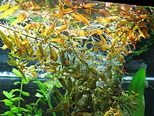 img_2694.jpg