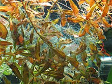 img_2697.jpg