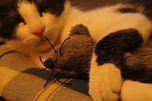 dsc02677.jpg