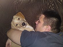 dsc01047.jpg