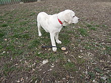 dscn0200.jpg