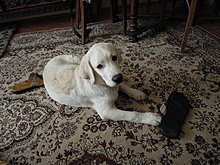 dscn0375.jpg
