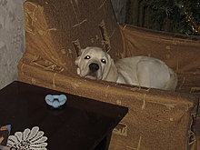 img_8193.jpg