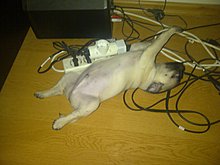 img-20111201-00048.jpg