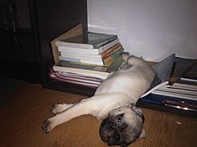 wp_000290.jpg