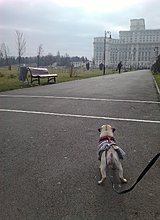 wp_000487.jpg