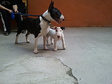 2011-06-02-15.40.53.jpg