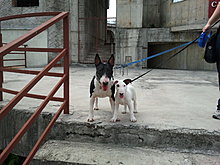 2011-06-09-13.54.51.jpg