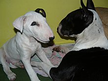 p1050904-resize.jpg
