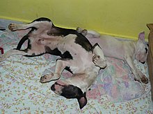 p1050903-resize.jpg