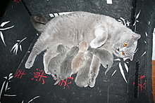 bubupui022.jpg