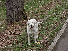 dscn0849.jpg