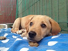 img_0037.jpg