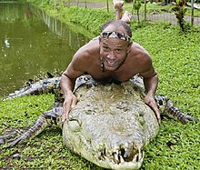 croco_1.jpg
