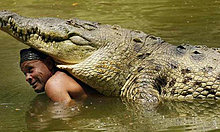 croco_2.jpg