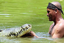 croco_3.jpg
