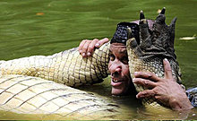 croco_4.jpg