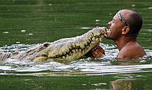 croco_5.jpg