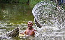 croco_6.jpg