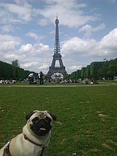 photo-4.jpg