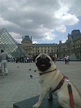 photo-5.jpg